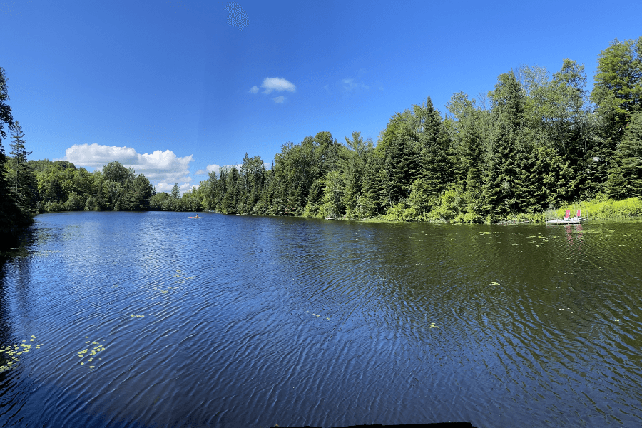 A calm, pristine lake is lines with towering pine trees, and framed with a clear blue sky.