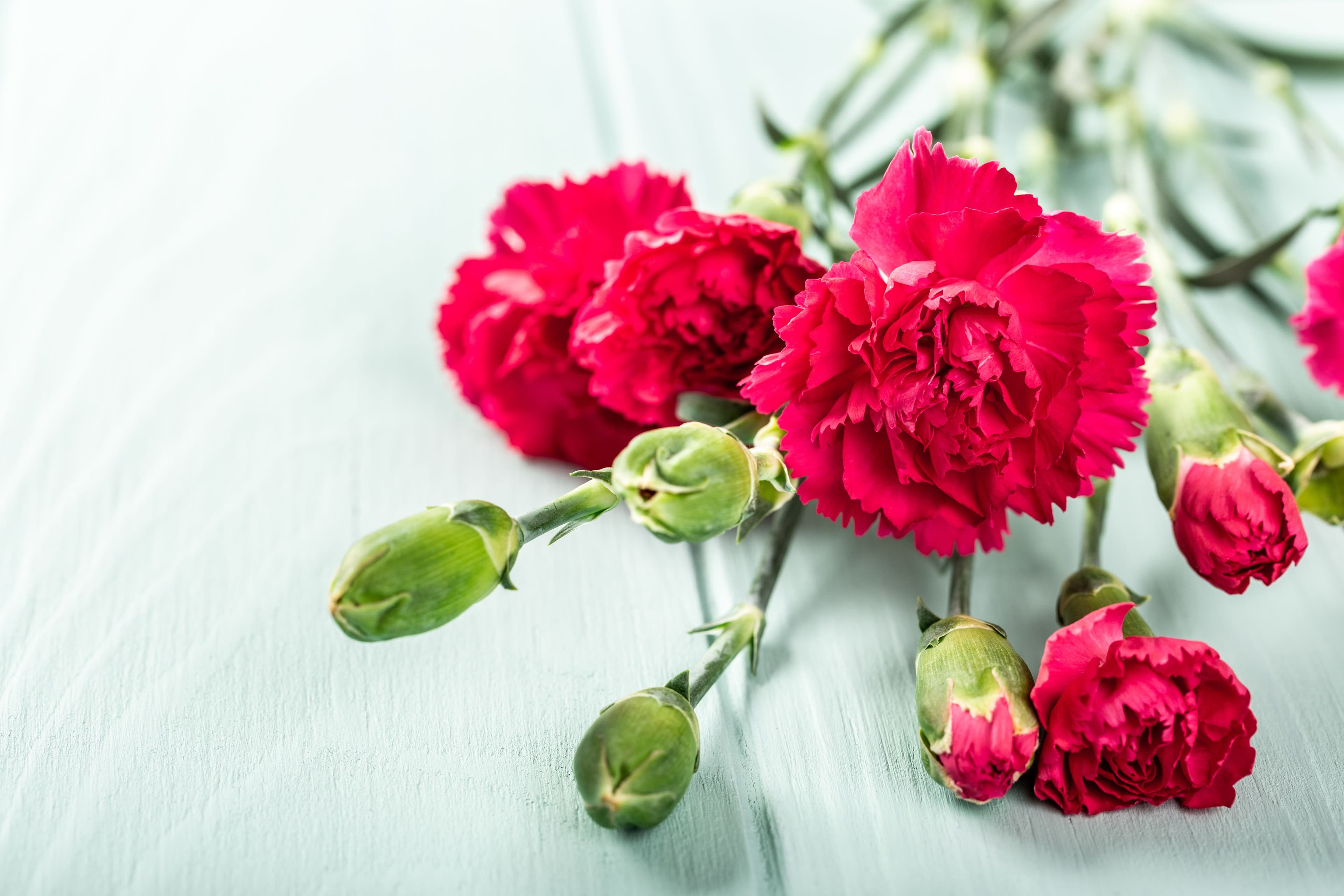 National Make a Friend Day